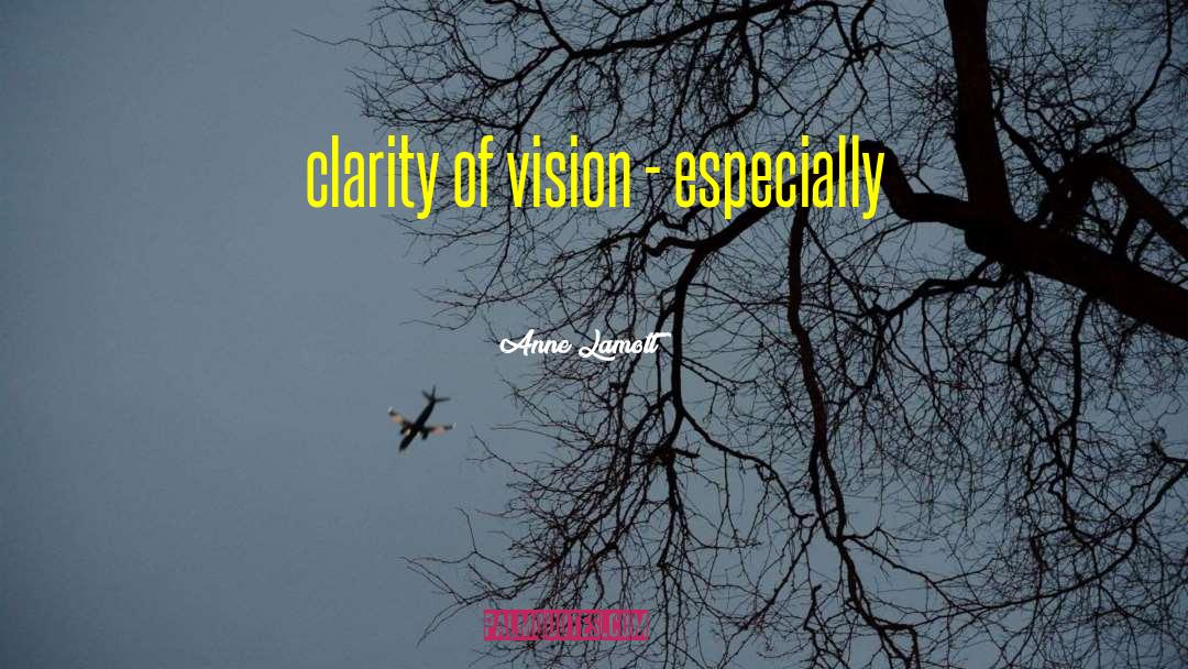 Clarity Of Vision quotes by Anne Lamott