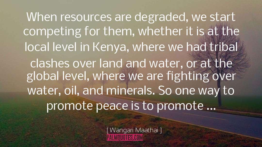 Clashes quotes by Wangari Maathai