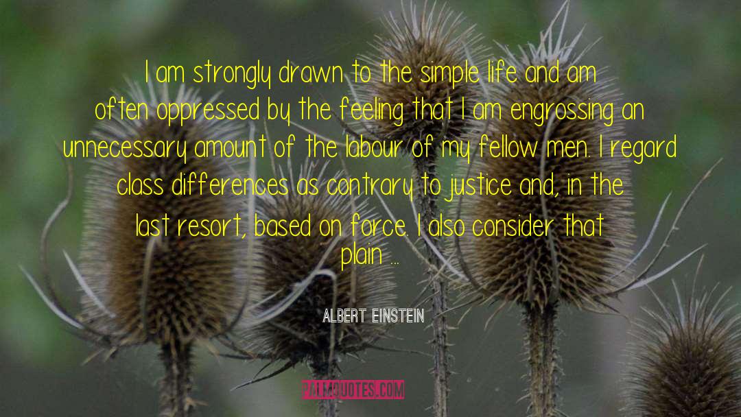 Class Division quotes by Albert Einstein