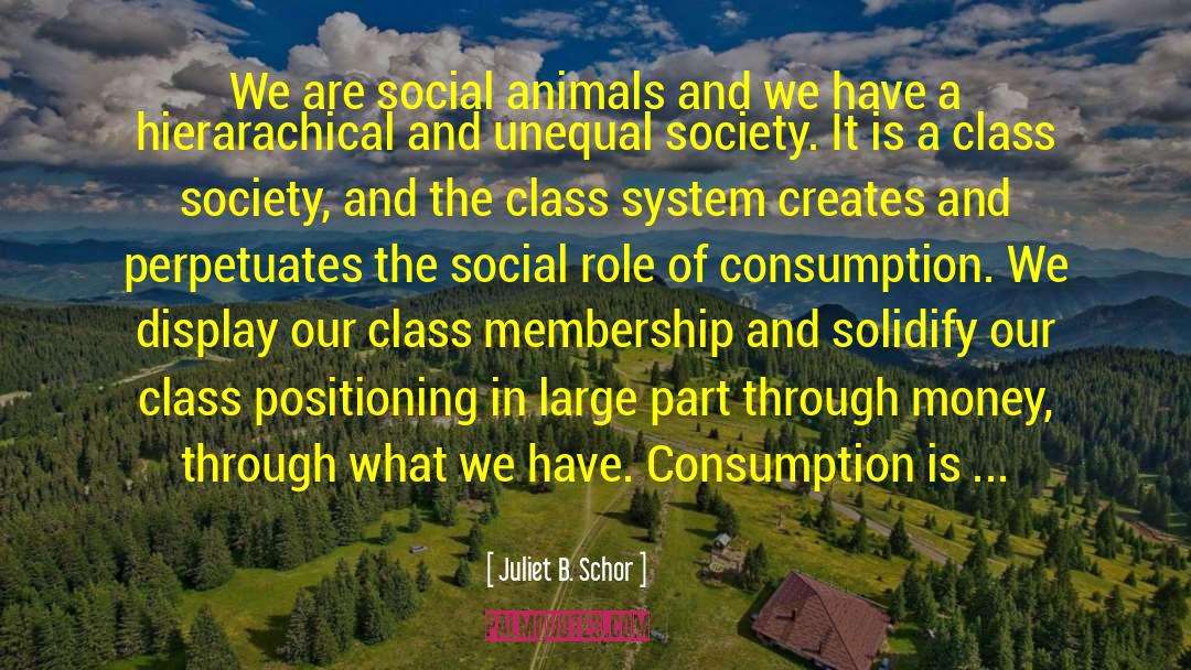 Class Society quotes by Juliet B. Schor
