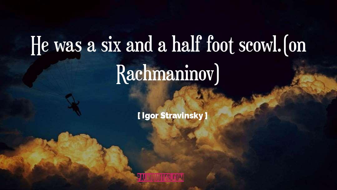 Classic Insult Humor quotes by Igor Stravinsky