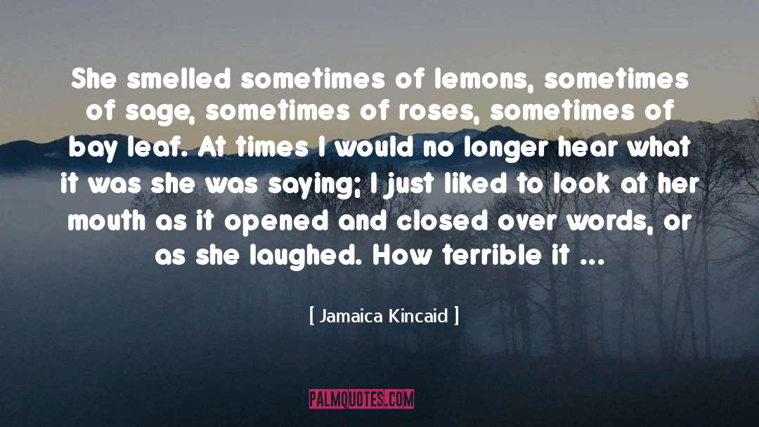 Classic Times quotes by Jamaica Kincaid