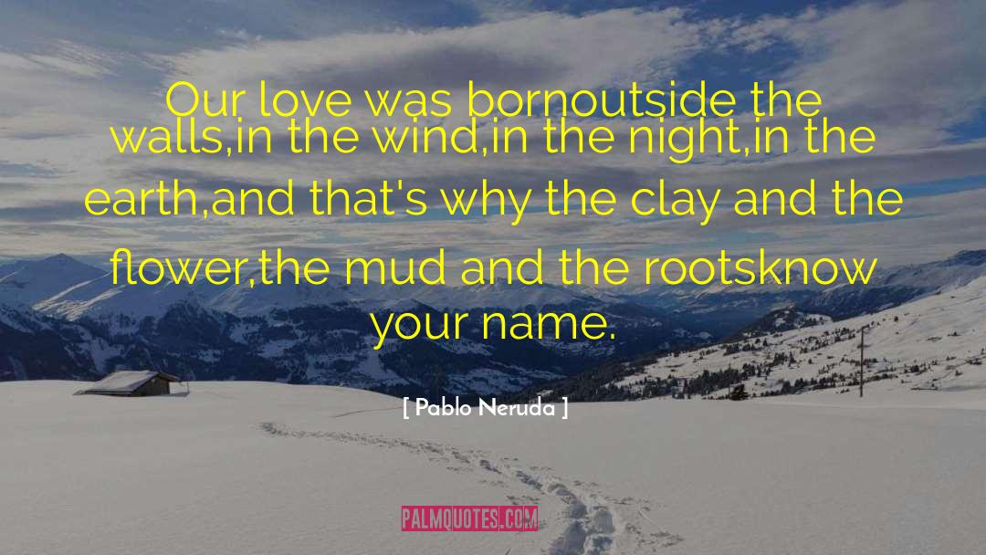 Classical Poetry quotes by Pablo Neruda