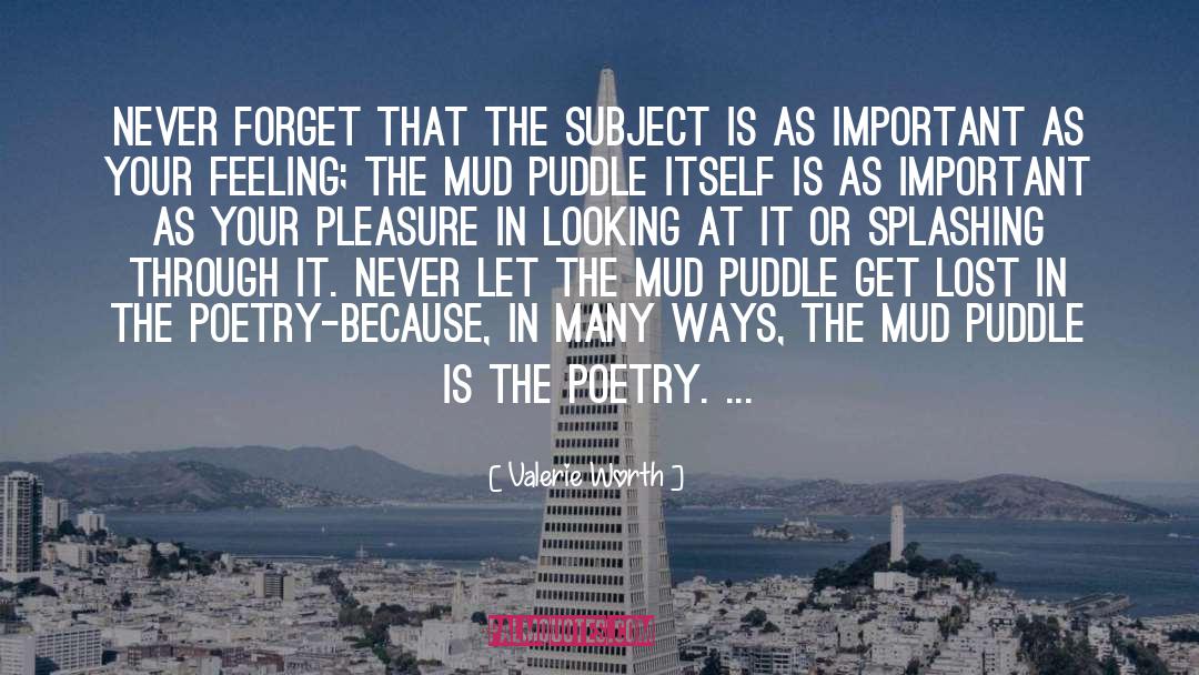 Classical Poetry quotes by Valerie Worth