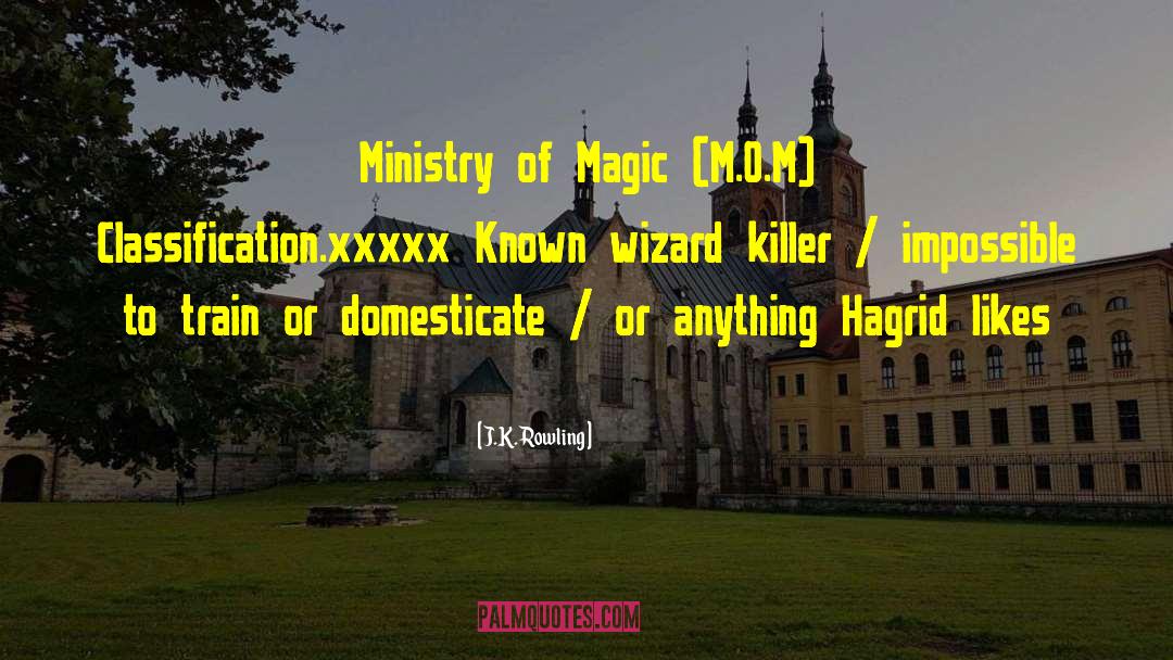 Classification quotes by J.K. Rowling