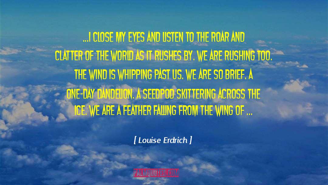 Clatter quotes by Louise Erdrich