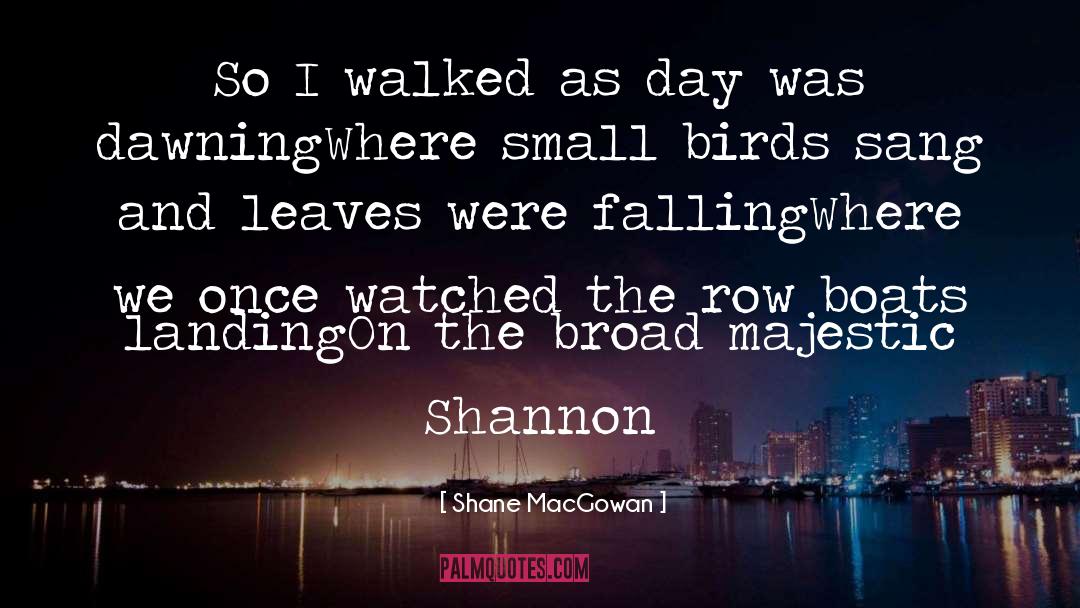 Claude E Shannon quotes by Shane MacGowan