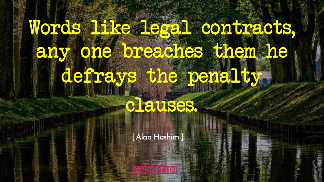 Clauses quotes by Alaa Hashim