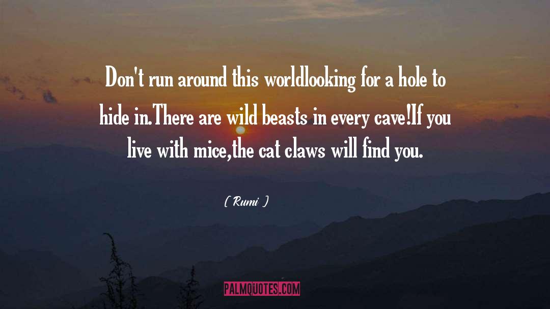 Claws quotes by Rumi