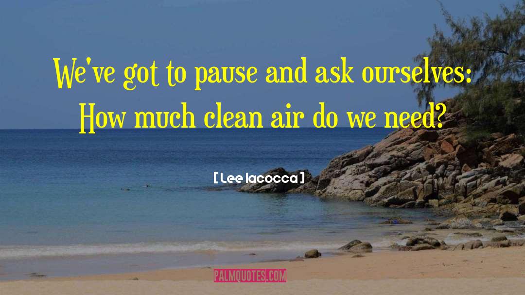 Clean Air quotes by Lee Iacocca