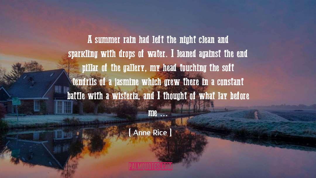 Clean Flame quotes by Anne Rice
