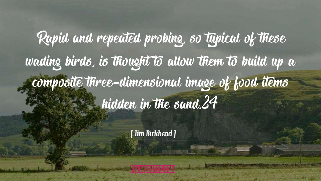 Clean Food quotes by Tim Birkhead