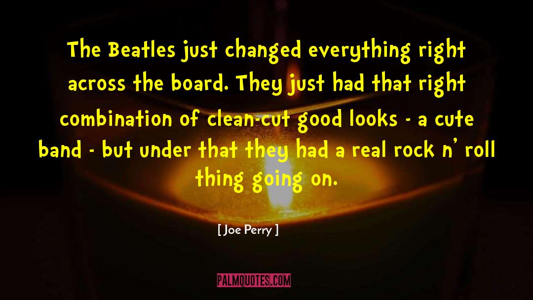 Clean Freak quotes by Joe Perry