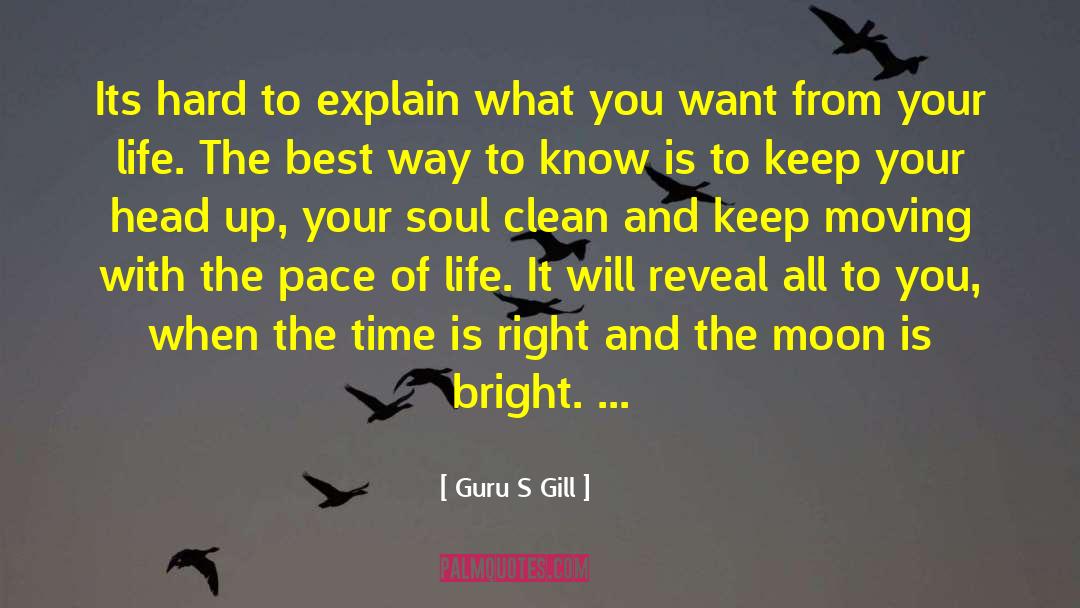 Clean Heart quotes by Guru S Gill