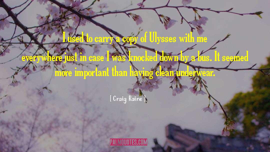 Clean Underwear quotes by Craig Raine