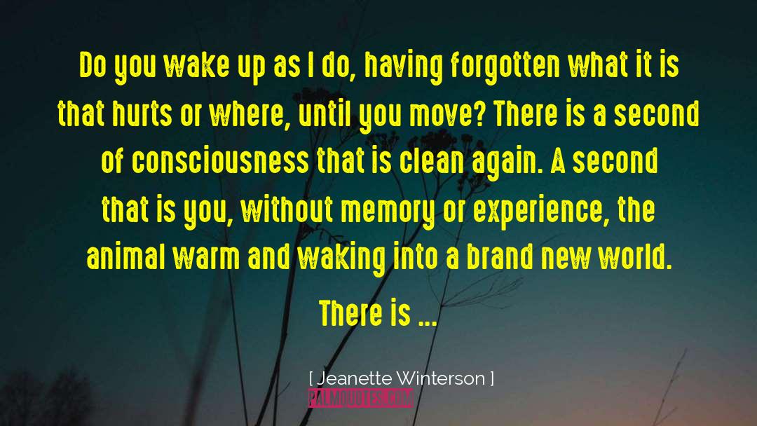 Clean Underwear quotes by Jeanette Winterson