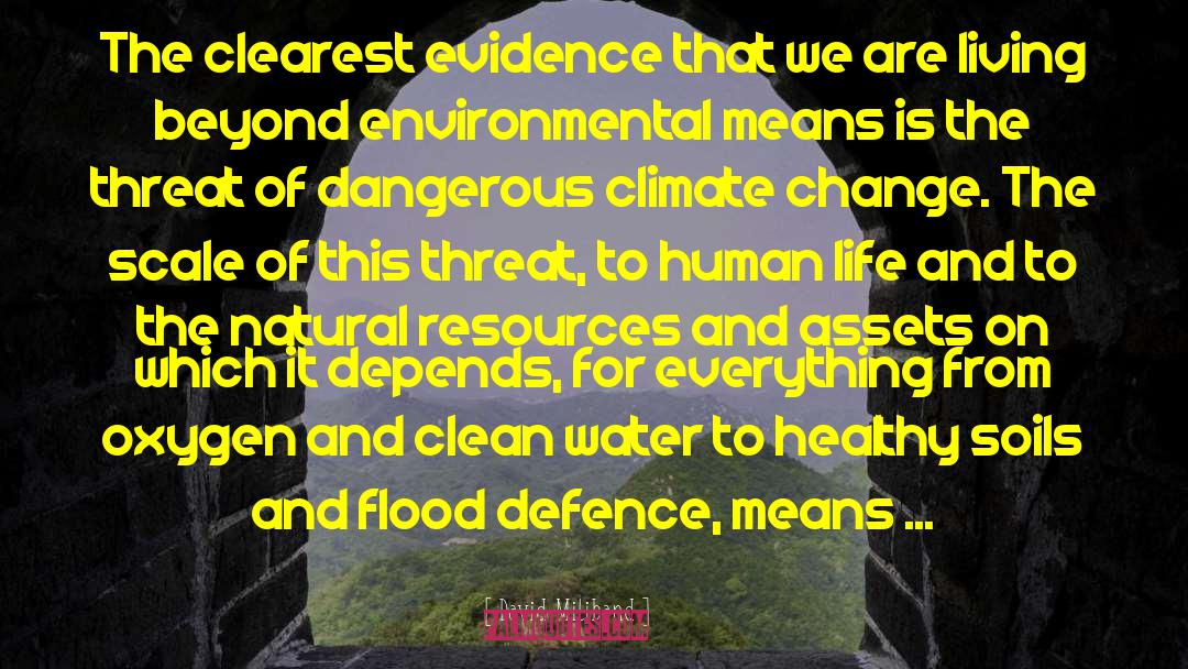 Clean Water quotes by David Miliband