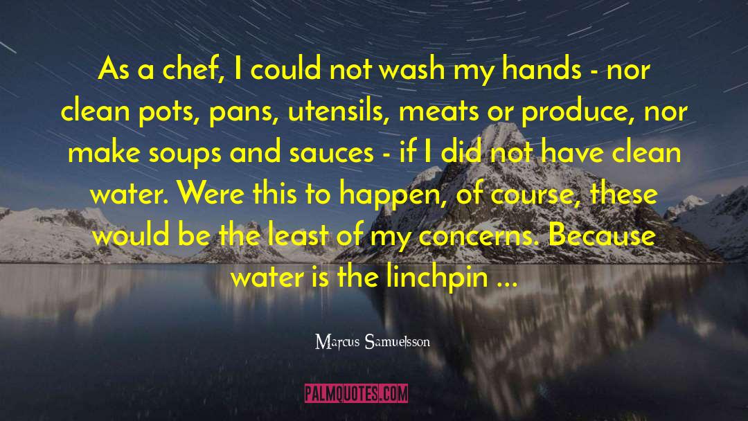 Clean Water quotes by Marcus Samuelsson