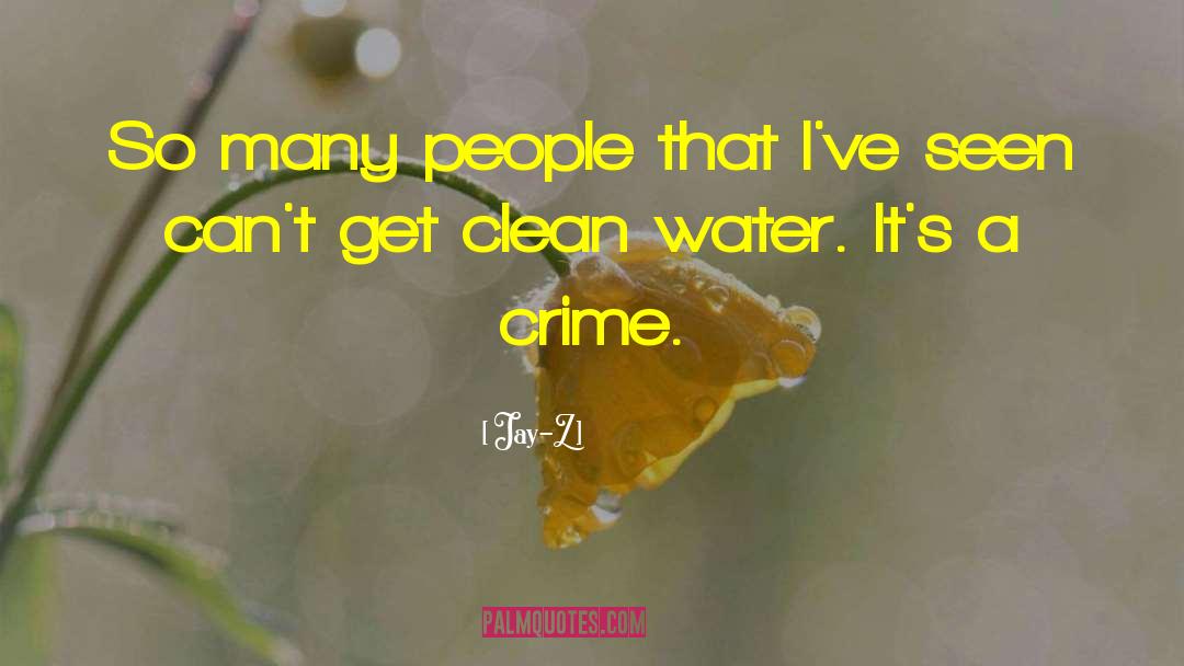 Clean Water quotes by Jay-Z