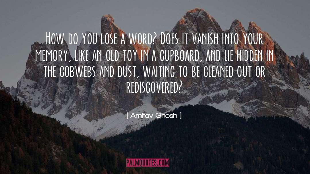 Cleaned quotes by Amitav Ghosh