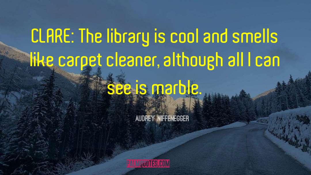 Cleaner quotes by Audrey Niffenegger