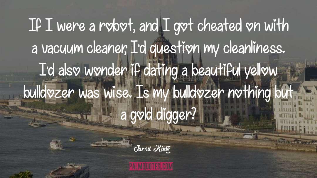 Cleaner quotes by Jarod Kintz