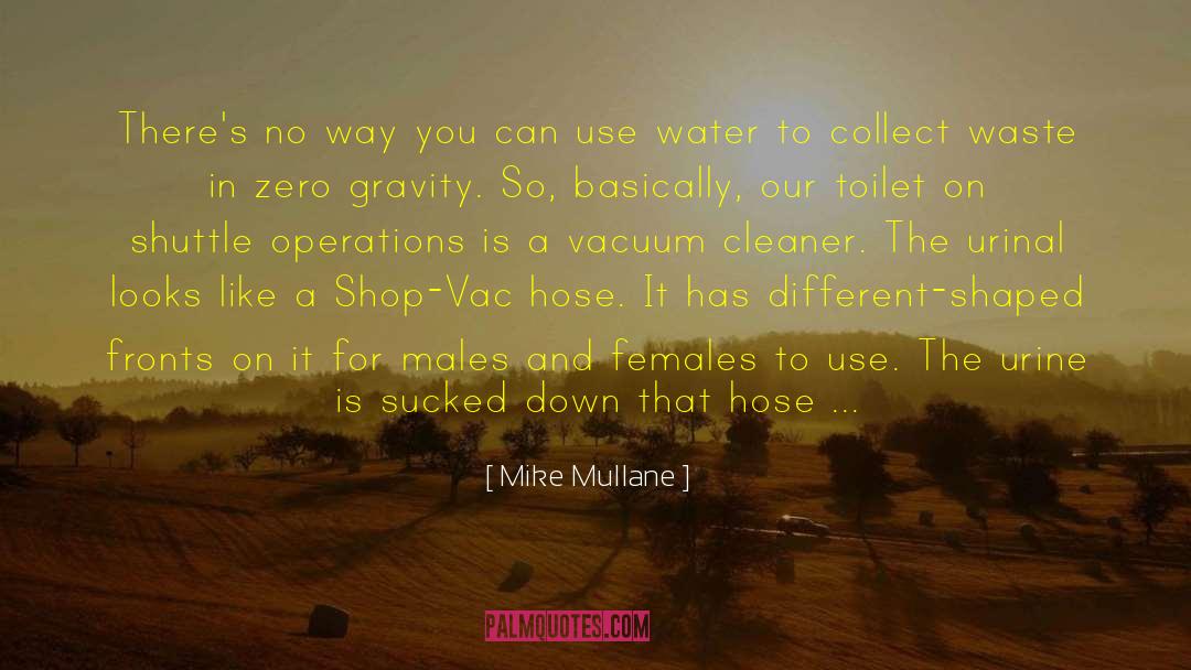 Cleaners quotes by Mike Mullane