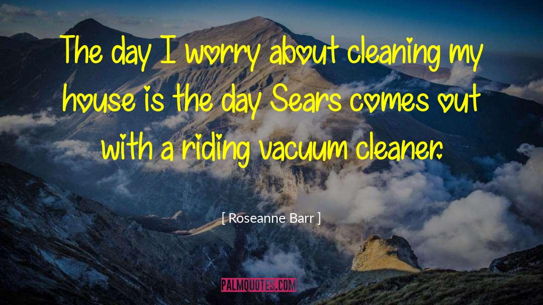 Cleaners quotes by Roseanne Barr