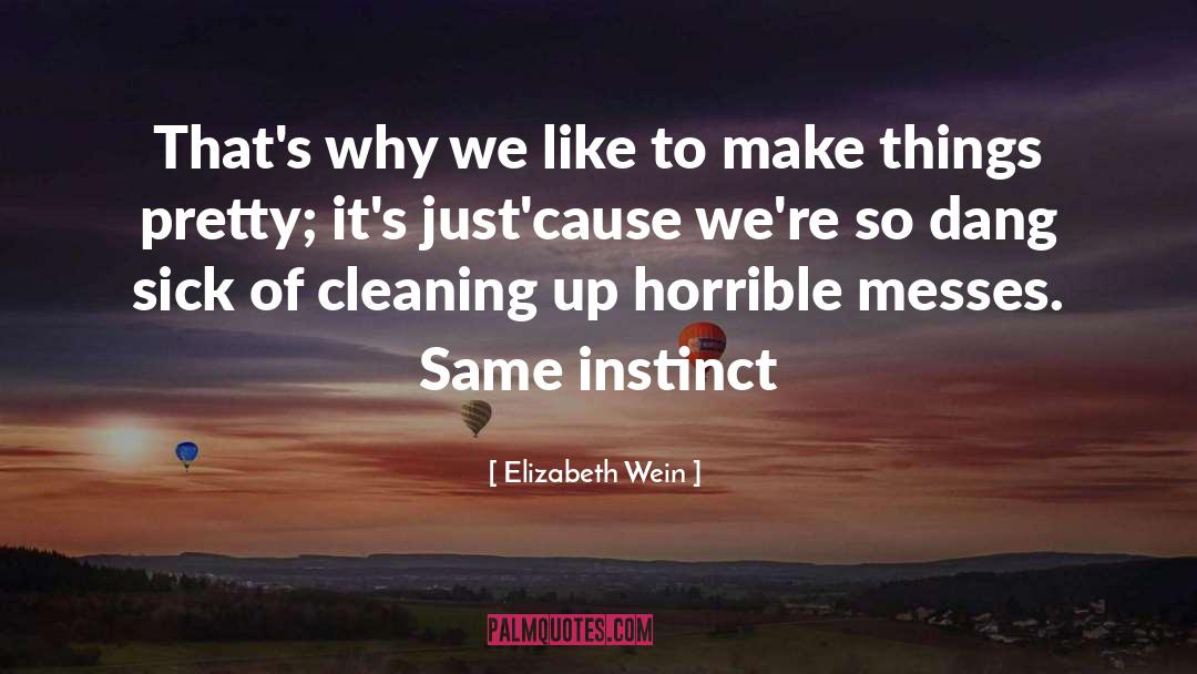 Cleaning Up quotes by Elizabeth Wein