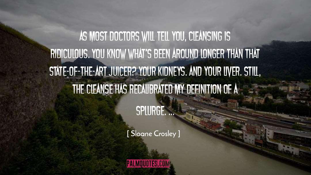 Cleanse quotes by Sloane Crosley