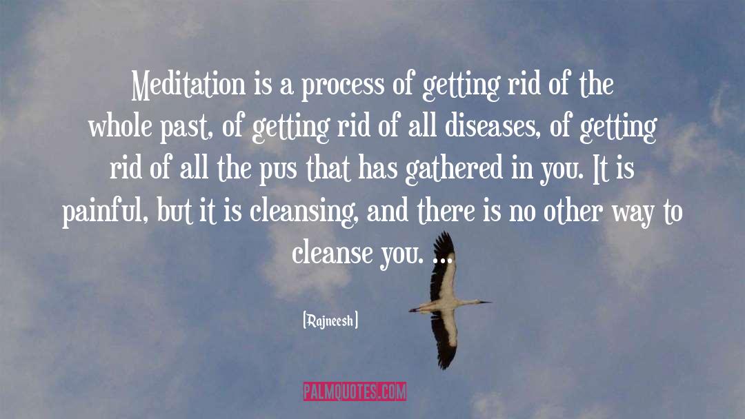 Cleanse quotes by Rajneesh