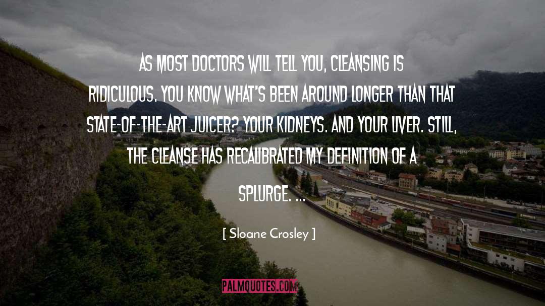 Cleansing quotes by Sloane Crosley