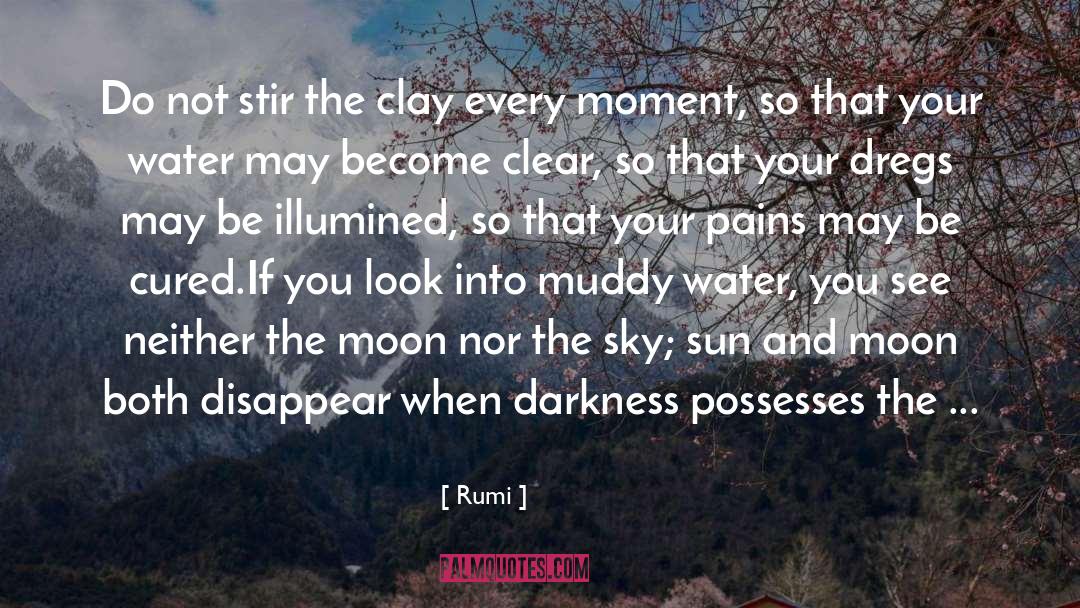 Clear Air Turbulence quotes by Rumi