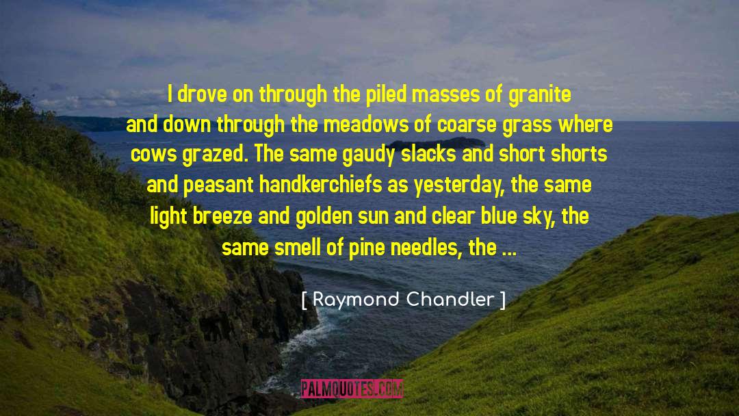 Clear Blue Sky quotes by Raymond Chandler