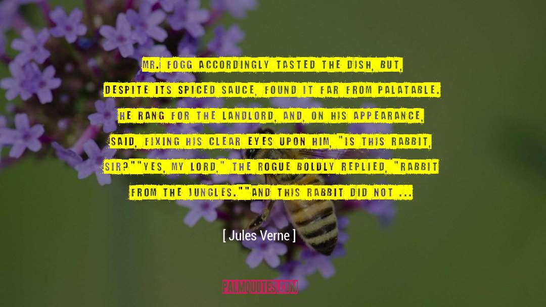 Clear Eyes quotes by Jules Verne