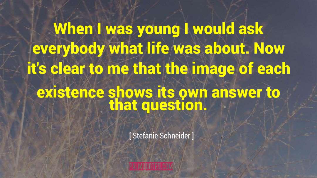 Clear Mindedness quotes by Stefanie Schneider