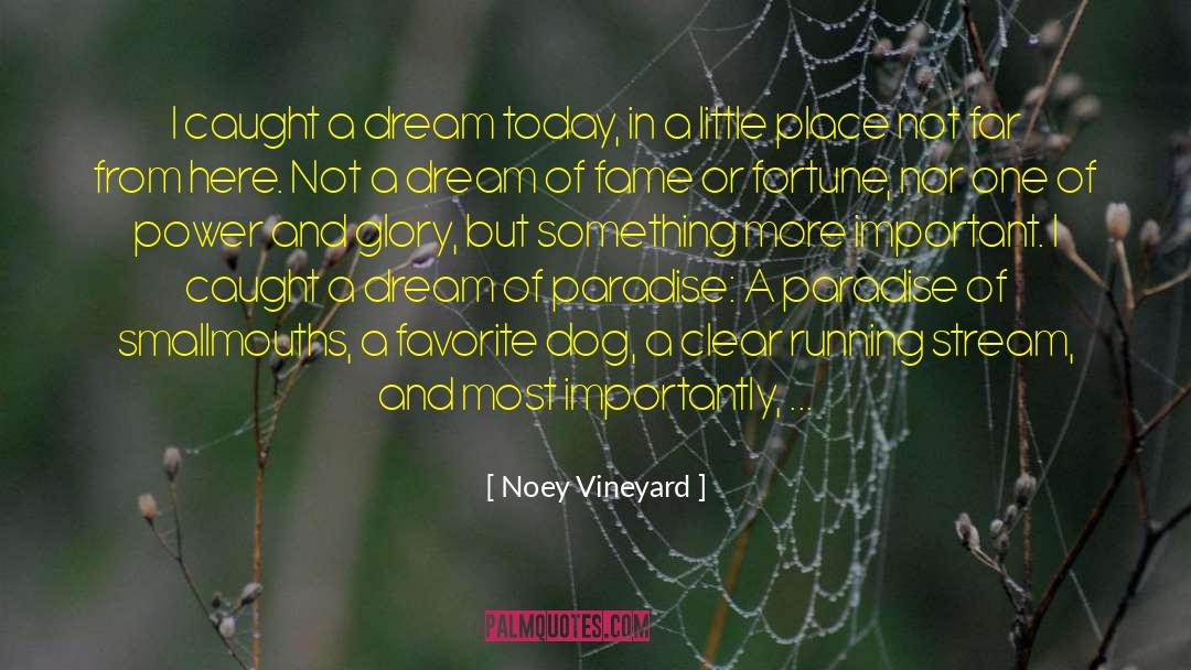 Clear Quartz quotes by Noey Vineyard