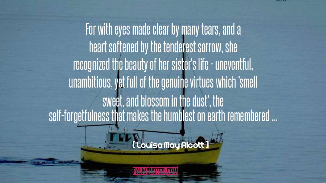 Clear Vision quotes by Louisa May Alcott