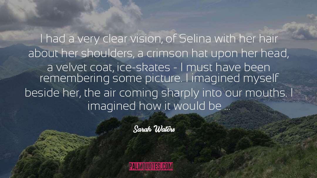 Clear Vision quotes by Sarah Waters