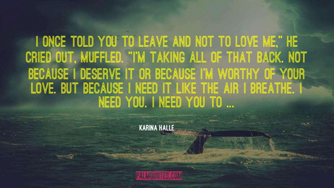 Clearing The Air quotes by Karina Halle