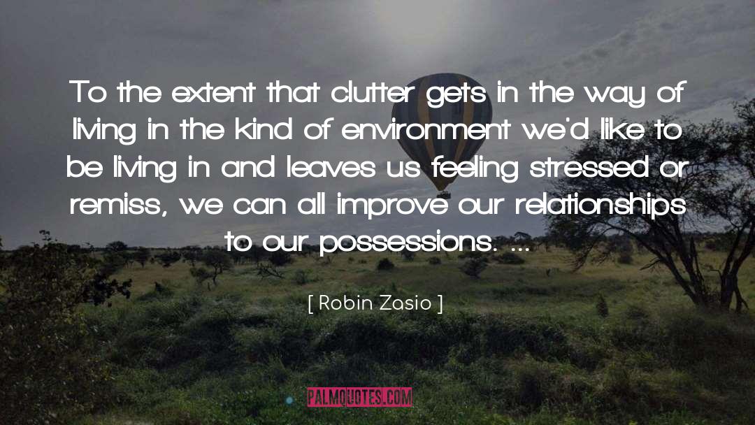 Clearing The Clutter quotes by Robin Zasio