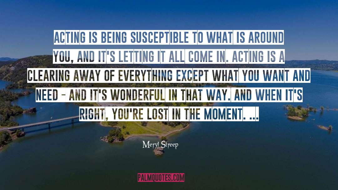 Clearing The Clutter quotes by Meryl Streep