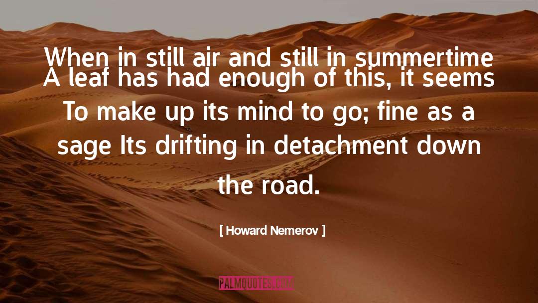 Clears The Mind quotes by Howard Nemerov