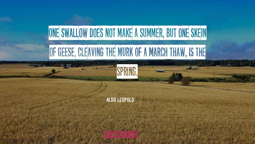 Cleaving quotes by Aldo Leopold