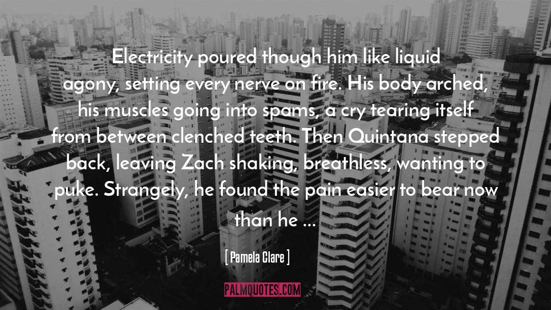 Clenched Teeth quotes by Pamela Clare