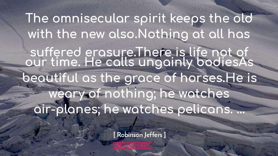 Clerc Watches quotes by Robinson Jeffers