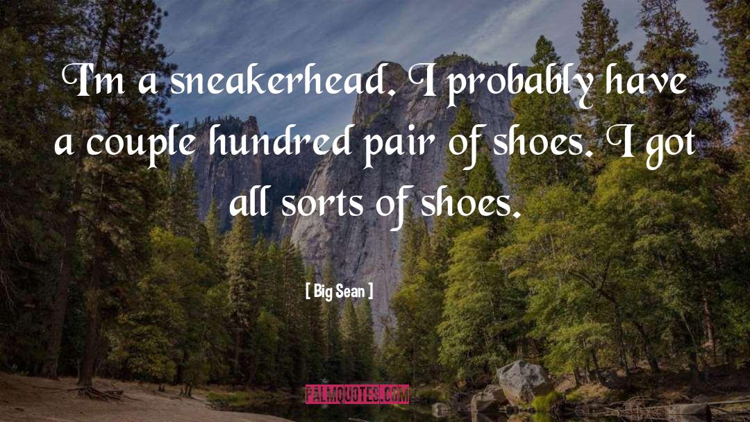 Clergerie Shoes quotes by Big Sean