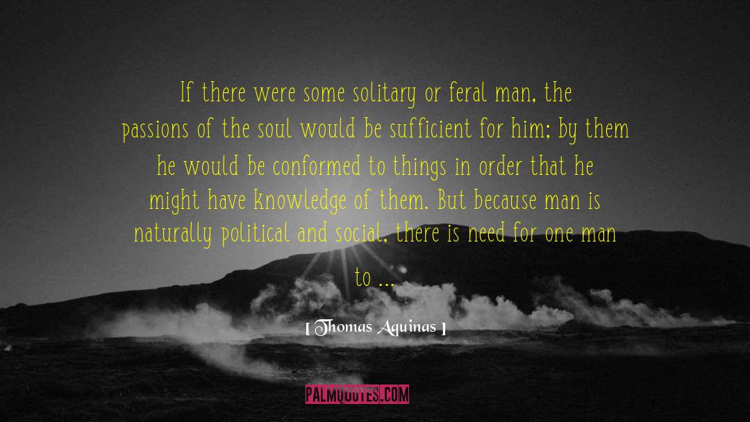 Clever Man quotes by Thomas Aquinas