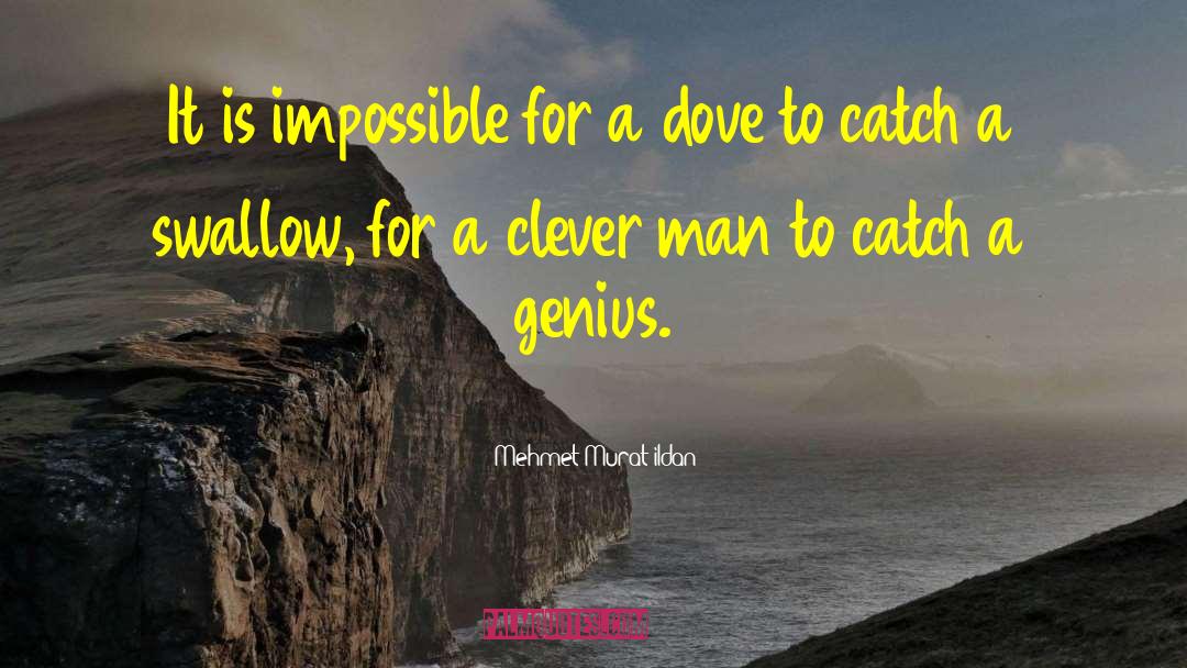 Clever Man quotes by Mehmet Murat Ildan