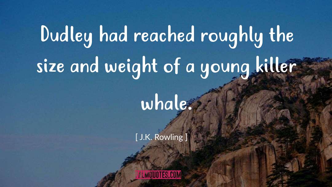 Clever Whale quotes by J.K. Rowling